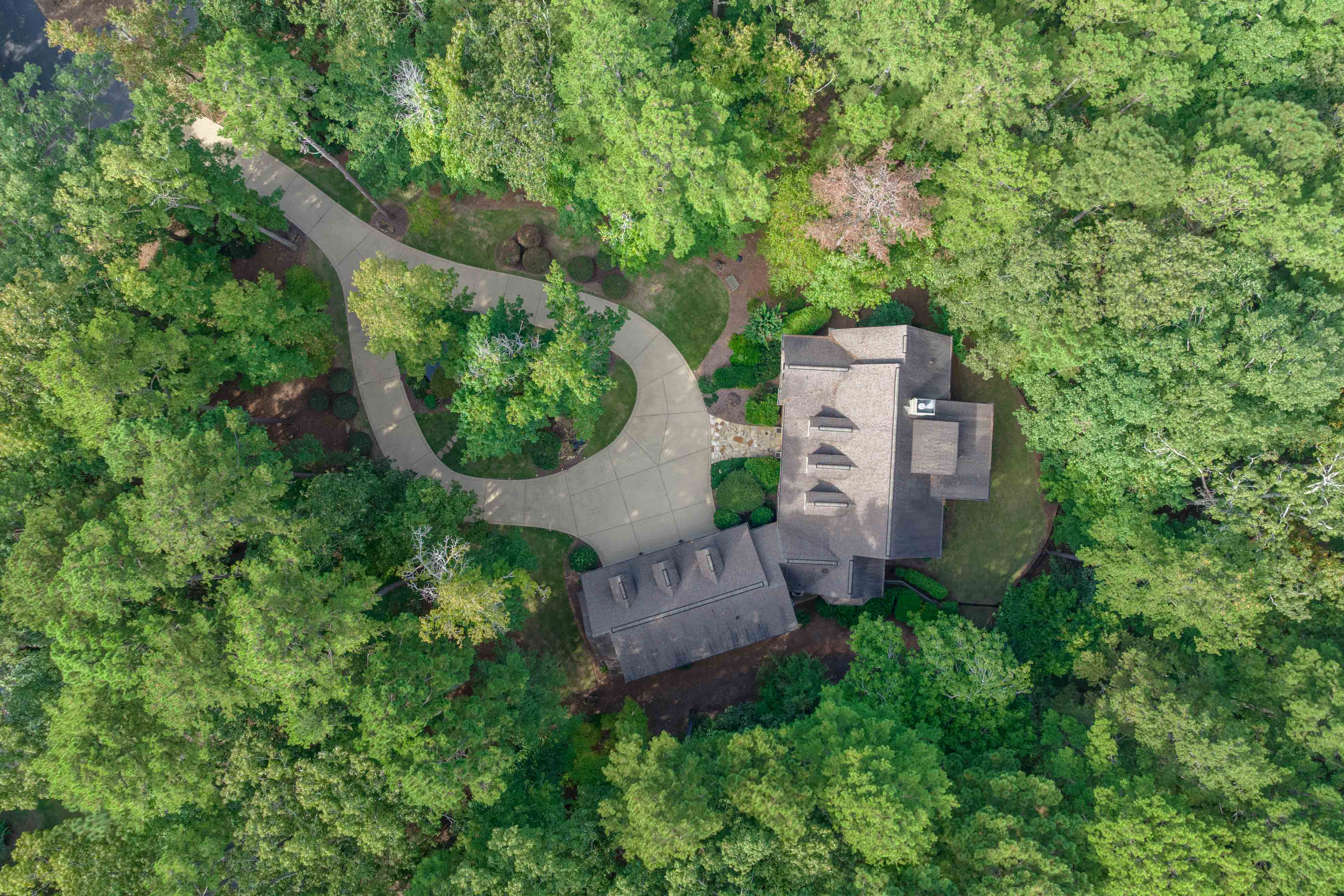 1001 Walton Way image 63